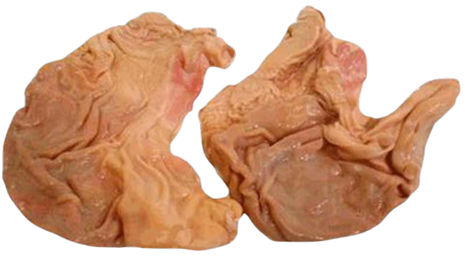 Fuchs - Schweine-Magen, offen, 1 Stück