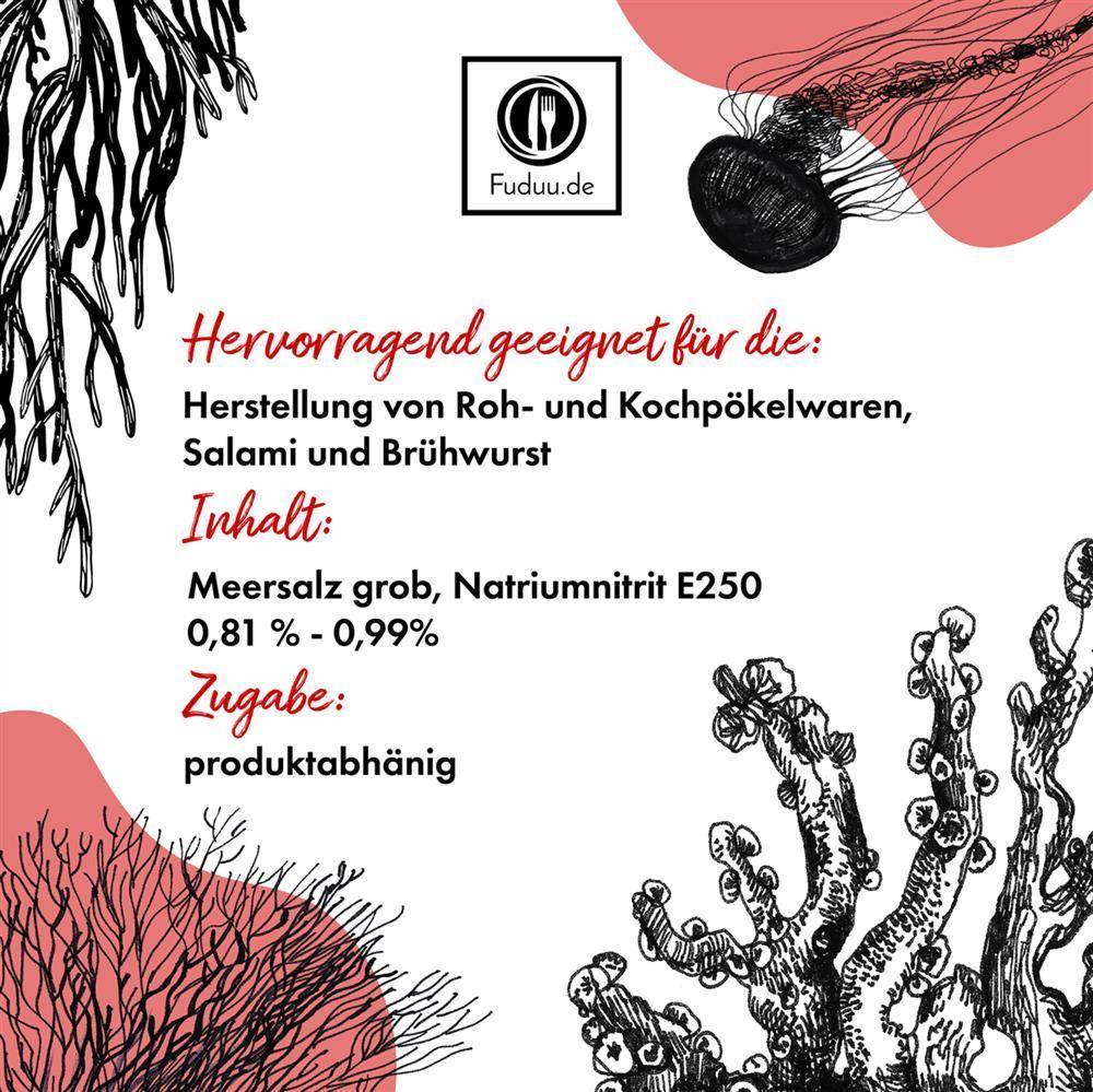 Fuduu.de - Nitritsalz / Pökelsalz mit Meersalz, 0,9%, 750 g Beutel